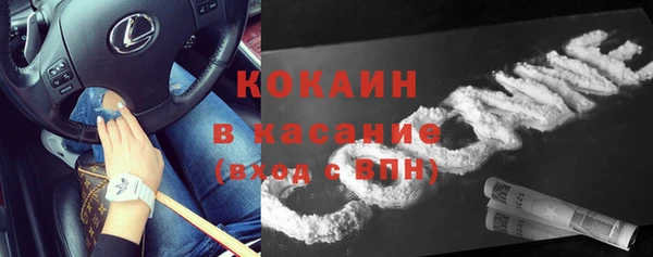 бошки Белокуриха
