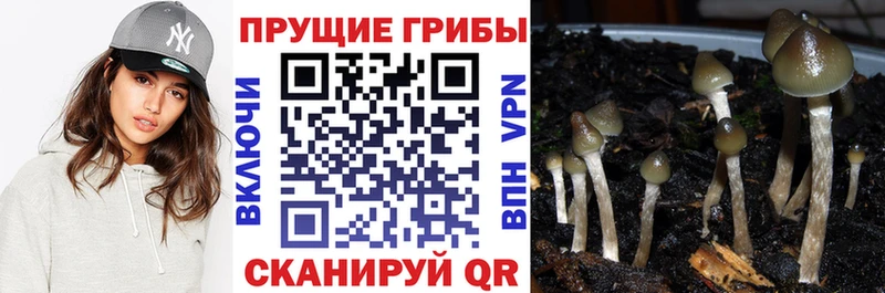 цены наркотик  Сковородино  Галлюциногенные грибы ЛСД 
